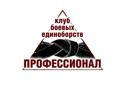 professional-logo-v7.jpg